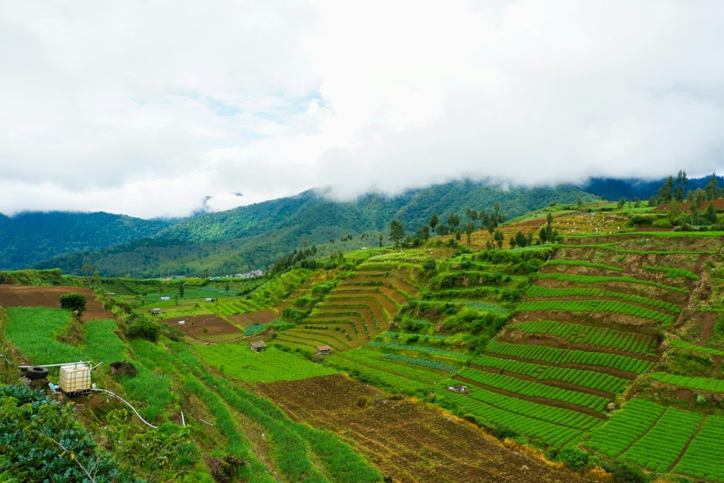 Risks of Financing Undeveloped Land: What You Need to Know