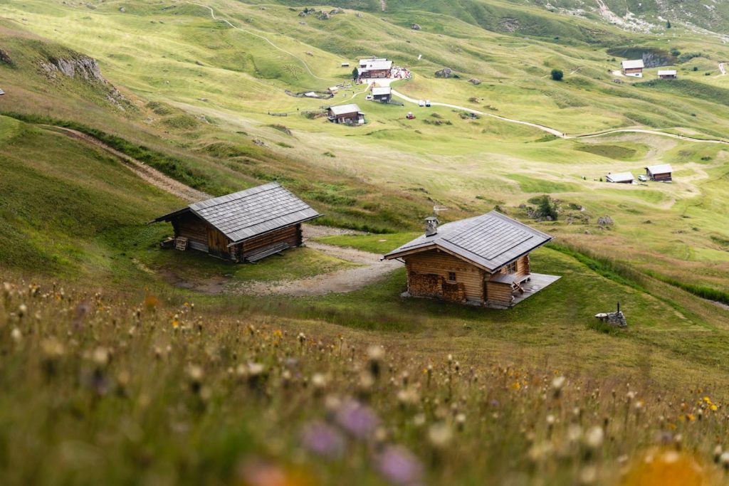 Charming wooden cottages nestled in a picturesque rural mountain village.