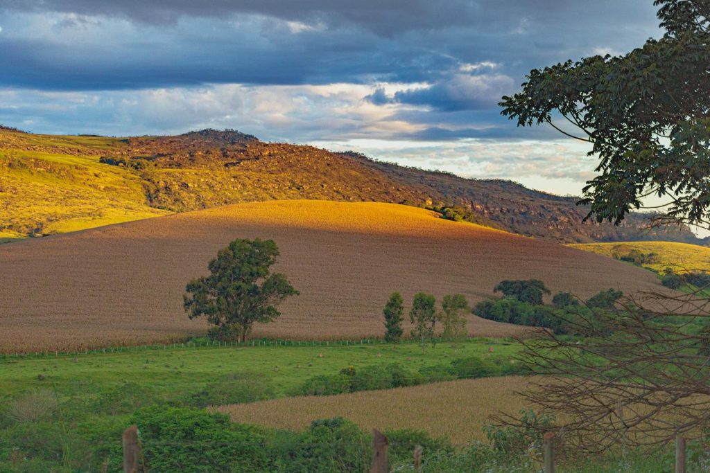 A picturesque view of farmland and rolling hills at sunset, highlighting golden fields and vibrant greenery.