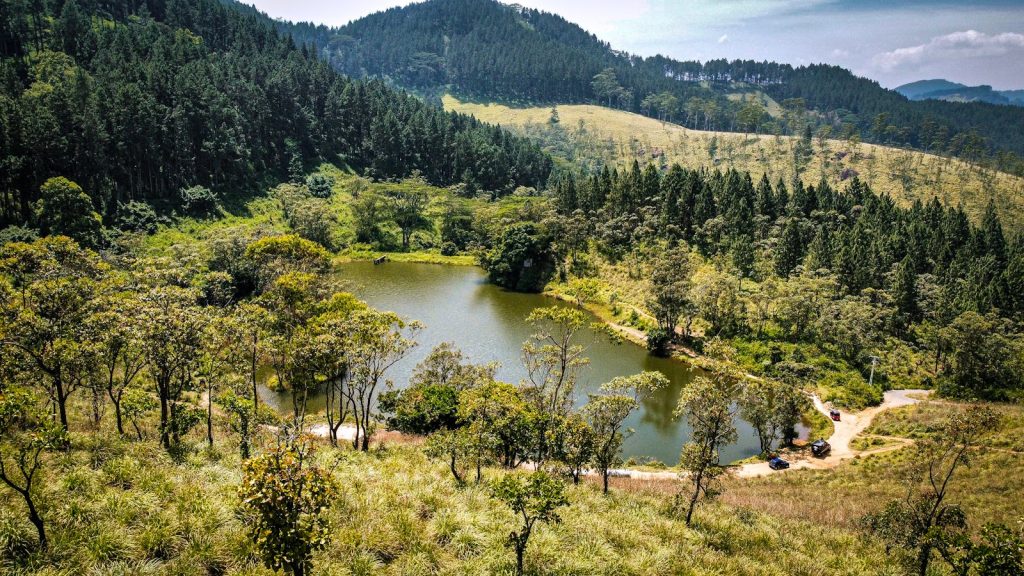 A breathtaking aerial landscape showcasing a serene lake surrounded by vibrant forests.