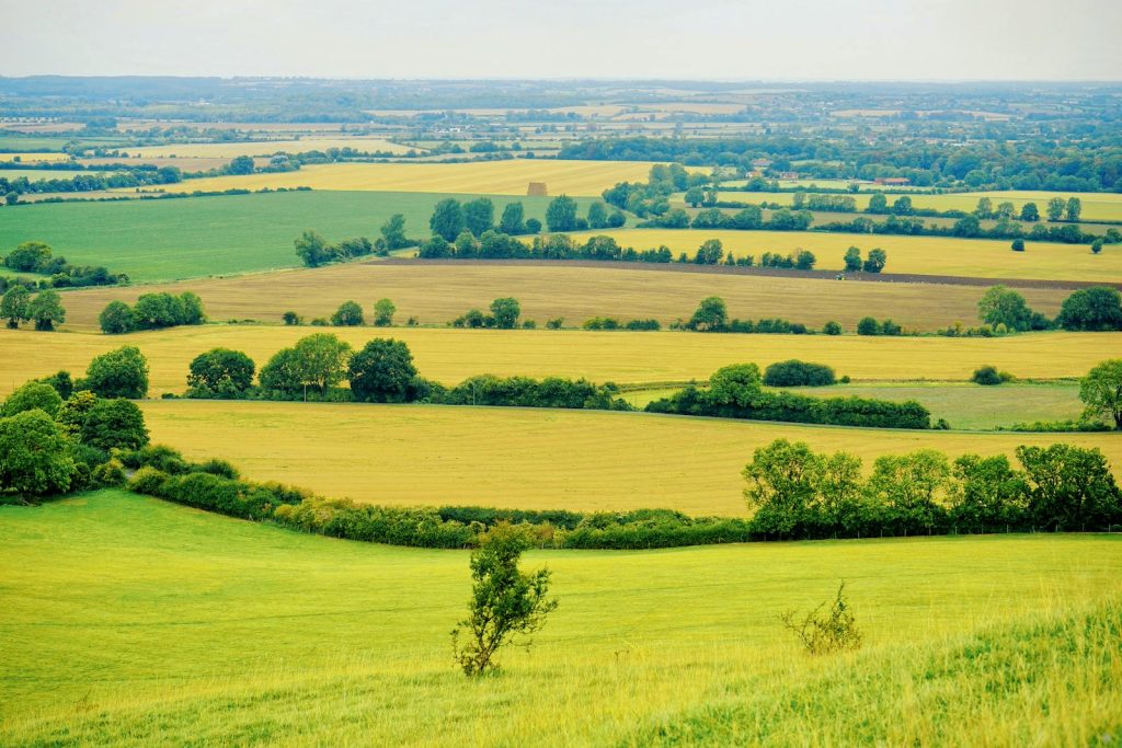 Discover the scenic landscapes of Hexton, England with lush green fields and panoramic views.