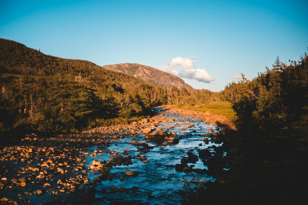 Picturesque view of stream with stones on water surface flowing among hilly terrain with green trees against blue sky in nature