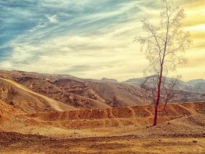 How to Buy Land With Bad Credit