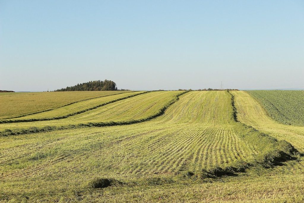 landscape, agriculture, meadow, hay, rural, outdoors, nature, landscape, landscape, landscape, landscape, landscape, agriculture, meadow, meadow, meadow, rural