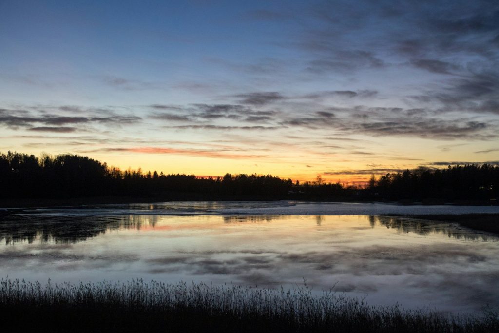 a body of water surrounded by a forest