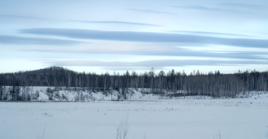A snow covered field with trees in the background