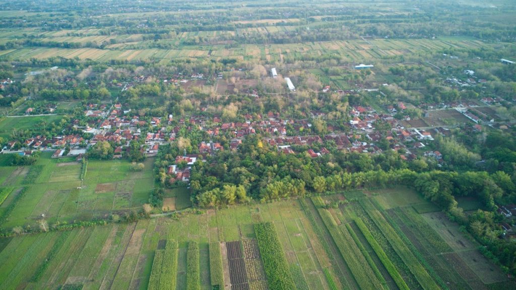 Aerial photograph showcasing Indonesian countryside with vibrant green fields and traditional village.