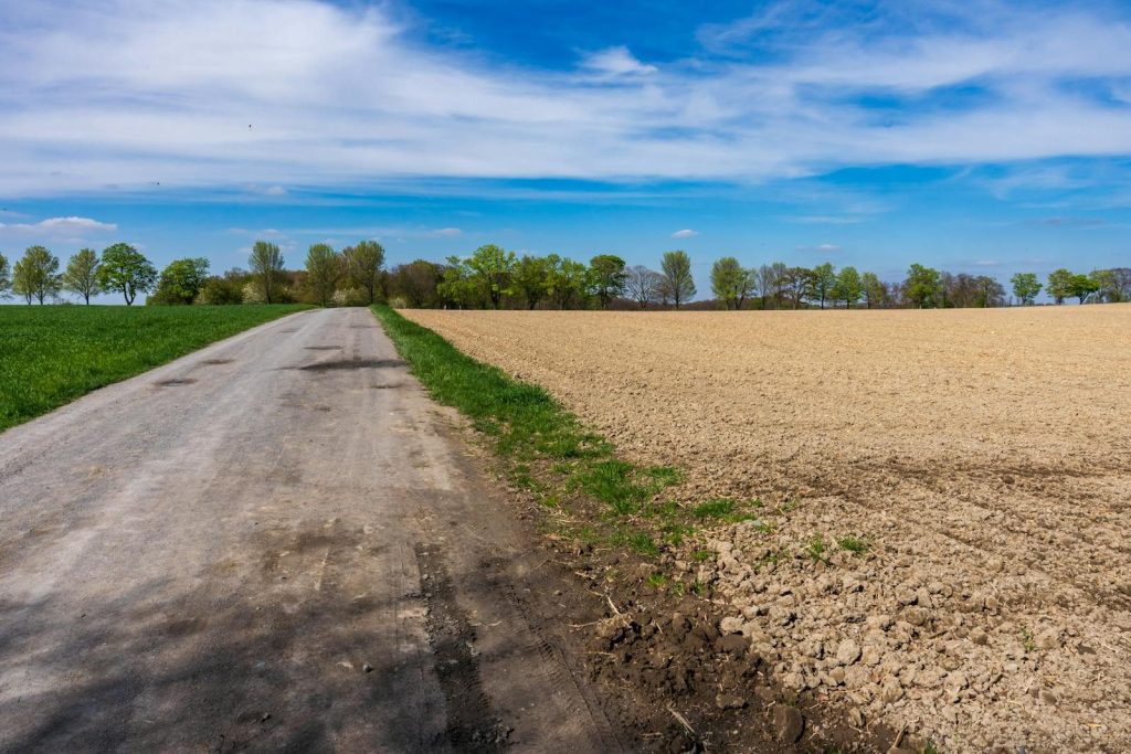 A tranquil rural scene featuring an empty road alongside a freshly plowed field under a clear blue sky.