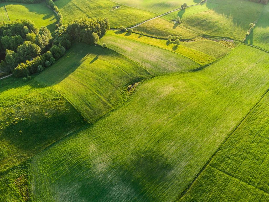 Aerial view of vibrant green fields showcasing a peaceful countryside landscape.