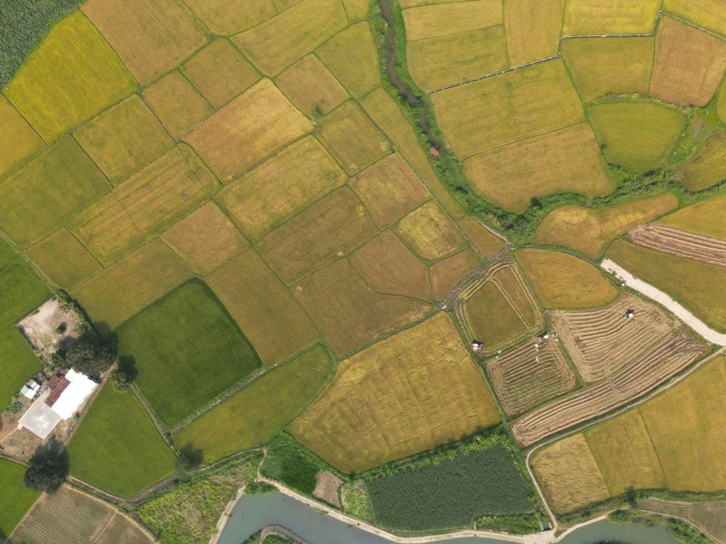 Aerial shot showcasing the patchwork of rice paddies in vibrant colors near Nha Trang, Vietnam.
