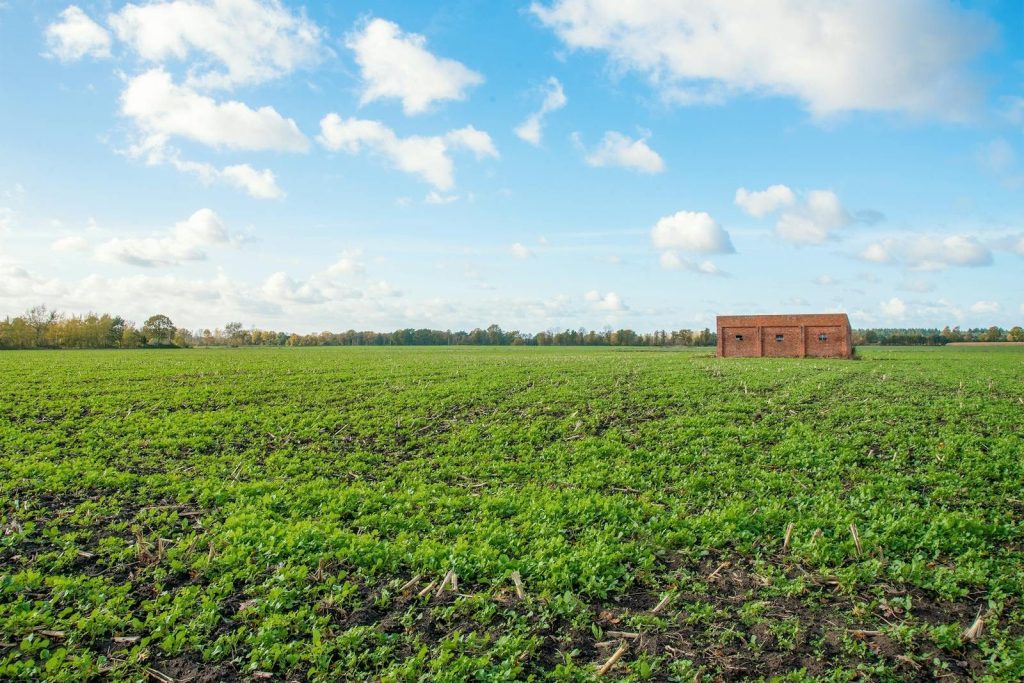 Expansive green field under a blue sky with a rustic brick building, ideal for rural themes.