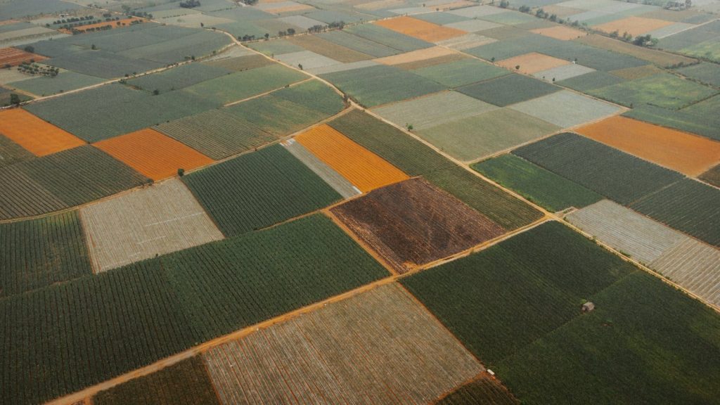 Stunning aerial view of vibrant agricultural fields showcasing diverse crops in Vietnam.