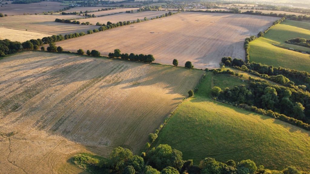 Expansive aerial view of sunny farmland in Central Bedfordshire, England.