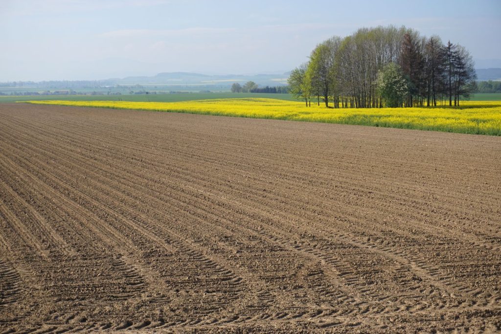 A vibrant spring landscape featuring plowed fields, blooming canola, and trees under a clear sky.