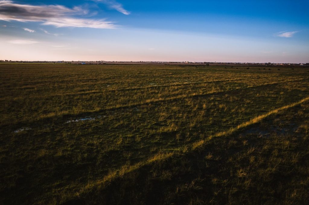 A vast rural field at dusk with a beautiful sky, perfect for nature lovers.