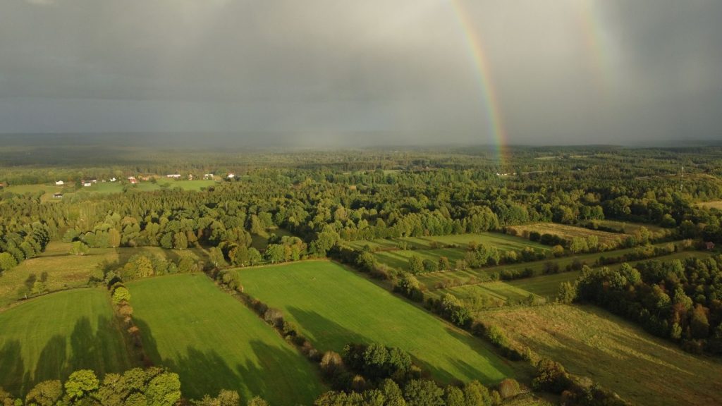Aerial landscape of expansive green fields and forest with a vivid rainbow in the sky.