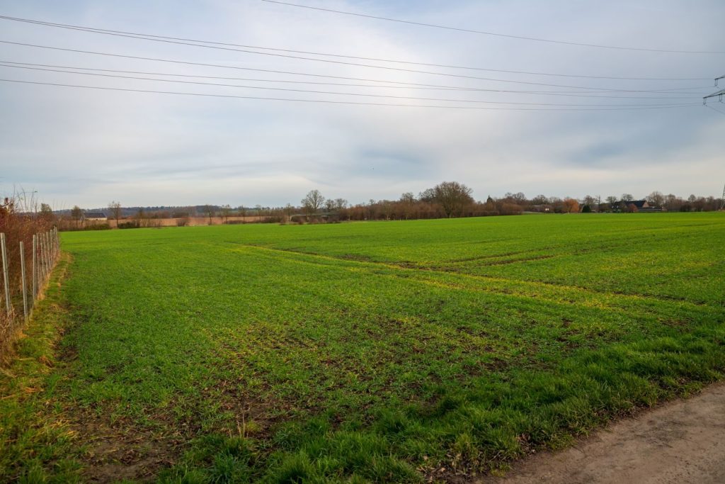 Wide view of a lush green field with distant trees and power lines under a cloudy sky.