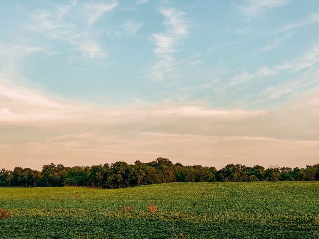 Expansive green farmland stretching under a soft blue sky, evoking tranquility and nature's beauty.