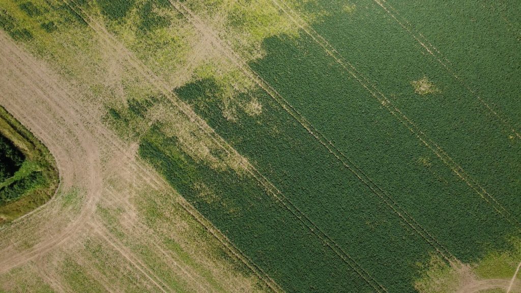 Drone shot capturing vast green agricultural fields in Central Bedfordshire, England.