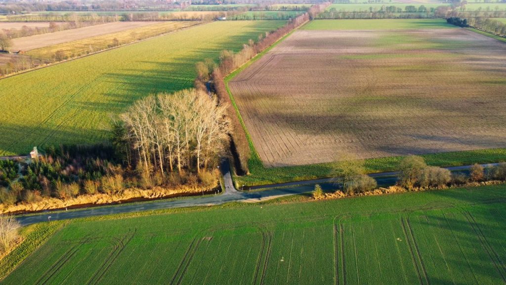 Aerial view showcasing vibrant green and brown farmlands divided by a country road and trees.