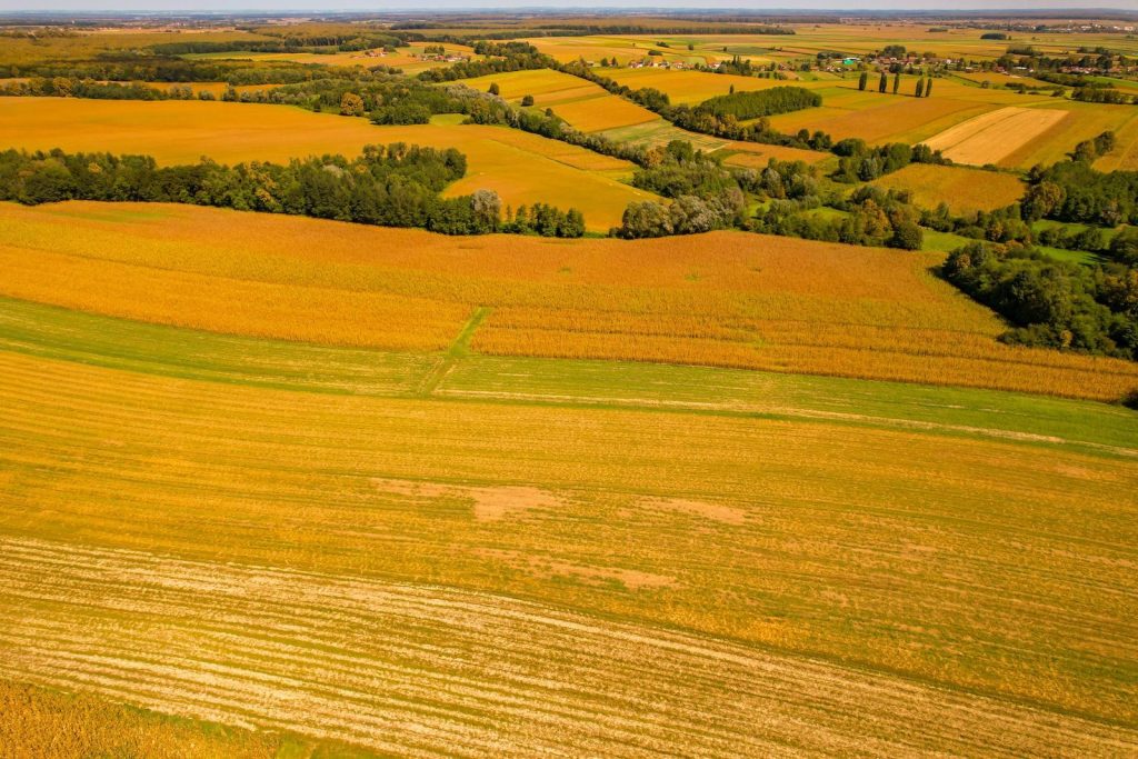 Beautiful aerial view of golden fields in Garešnica, Croatia during autumn.